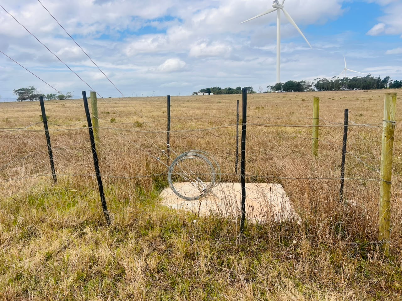 Wind-farm site surroundings